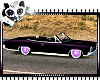 Dark Purple Car