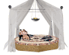 Tropico Canopy bed