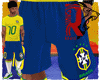 🦁 Brasil short meia