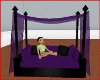 ~TL~Royal Purple Daybed