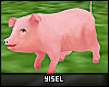 Y. Pig Birthday