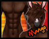 -DM- Dark Chestnut Fur 2