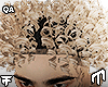 Lightskin Curls - BL V2