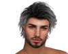 Sexy Male Going Grey