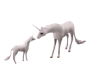 love horses