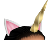 Woman's Unicorn Ears & H