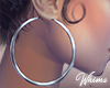 Iconic Hoop Earrings