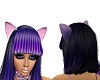 lilMz Pretty Cat Ears