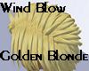 Wind Blown Golden Blonde