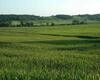 EMPTY FARMLAND