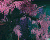 Cherry Tree