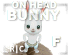 R|C Bunny On Head F