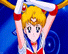 Sailor Moon Animated