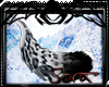 +Sora+ S.Leopard Tail 3