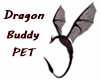 Dragon Buddy Pet