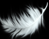 Mni White Feather