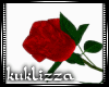 (KUK)Red rose unisex