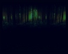 Tree Dark Night
