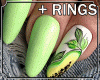 LIME NAILS + RINGS