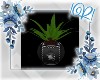 !R! Plant Radio Style 6