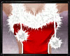 Sexy Santa Costume