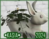 Bunny Daisies Plant