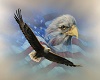 [A] Eagle Pic