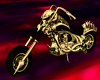 Ghostryder nopose