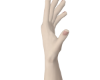 Realistic Hands [N]