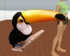 [ML]Tropical bird filler