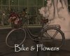 AV Bike & Flowers