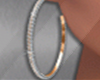 IS. Josie Earrings