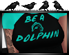 [Maiba] Be A Dolphin