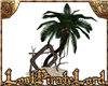 [LPL] Pirate Beach Palm