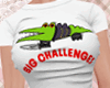Big Challenges
