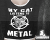My Cat Listens To Metal