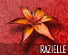 Red_Lily
