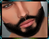 Full Beard