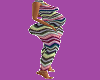 baby Bump