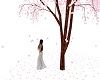 Cherry Blossom Tree :F: