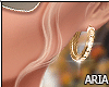 A. Gold Earrings