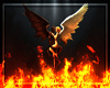 (LIR) Angel - Devil 02.