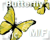 R|C Yellow Butterfly M/F