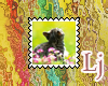 kitten stamp 10