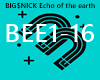 BIG$NICK Echo of the ear