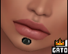 TomBoy_labret_🐱