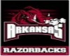 razorback chair