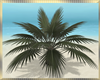 Love Island Palm anim