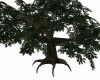 {LS} Tree w platform