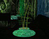 Jade pot bamboo